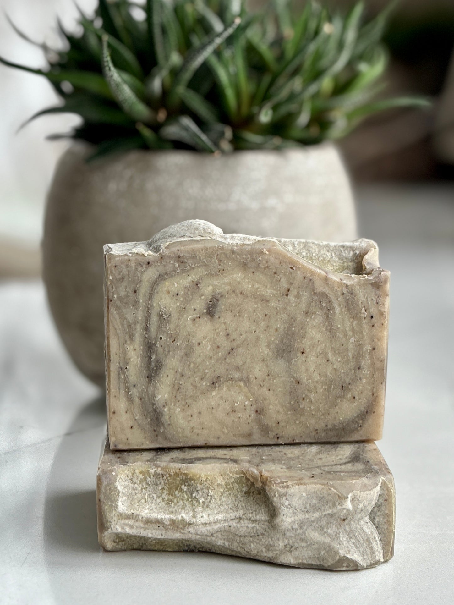 Beechwood Vetiver