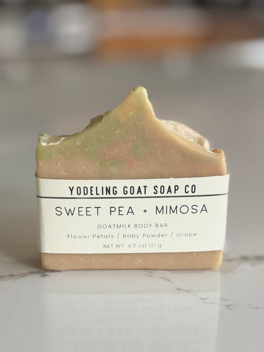 Sweet Pea + Mimosa