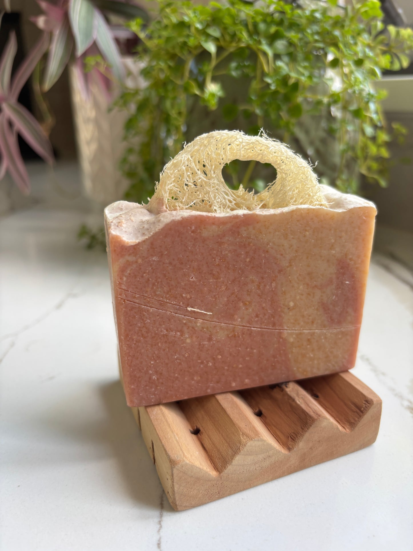 Coconut & Grapefruit Loofah Soap